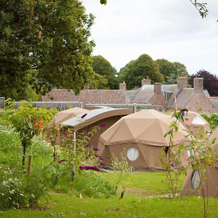 Отель Durrell Wildlife Camp Тринити Экстерьер фото