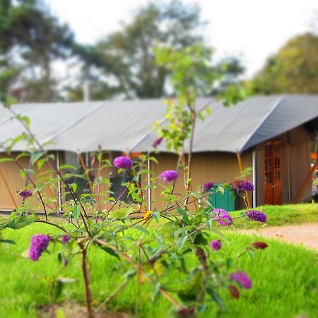 Отель Durrell Wildlife Camp Тринити Экстерьер фото