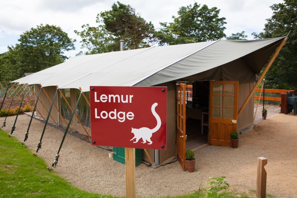 Отель Durrell Wildlife Camp Тринити Экстерьер фото